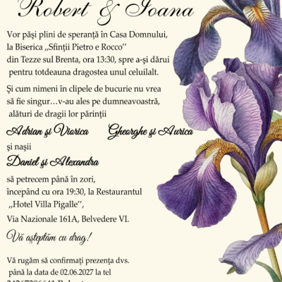 Invitatie Digitala cod: n01